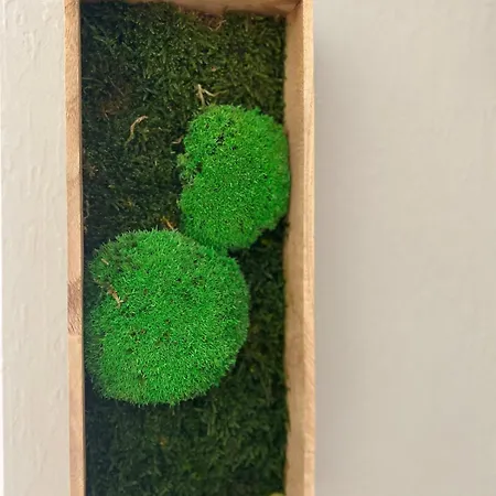 Ferienhaus Zum Bullerjan - Coozy Haus Mit Kamin