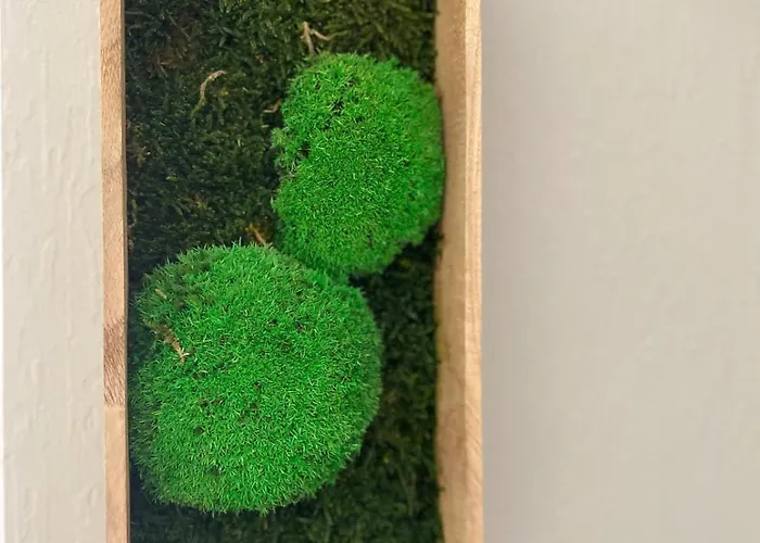 펜션 Zum Bullerjan - Coozy Haus Mit Kamin